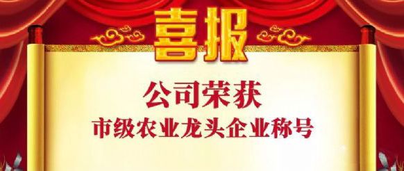 山东鲁香源食品股份有限公司